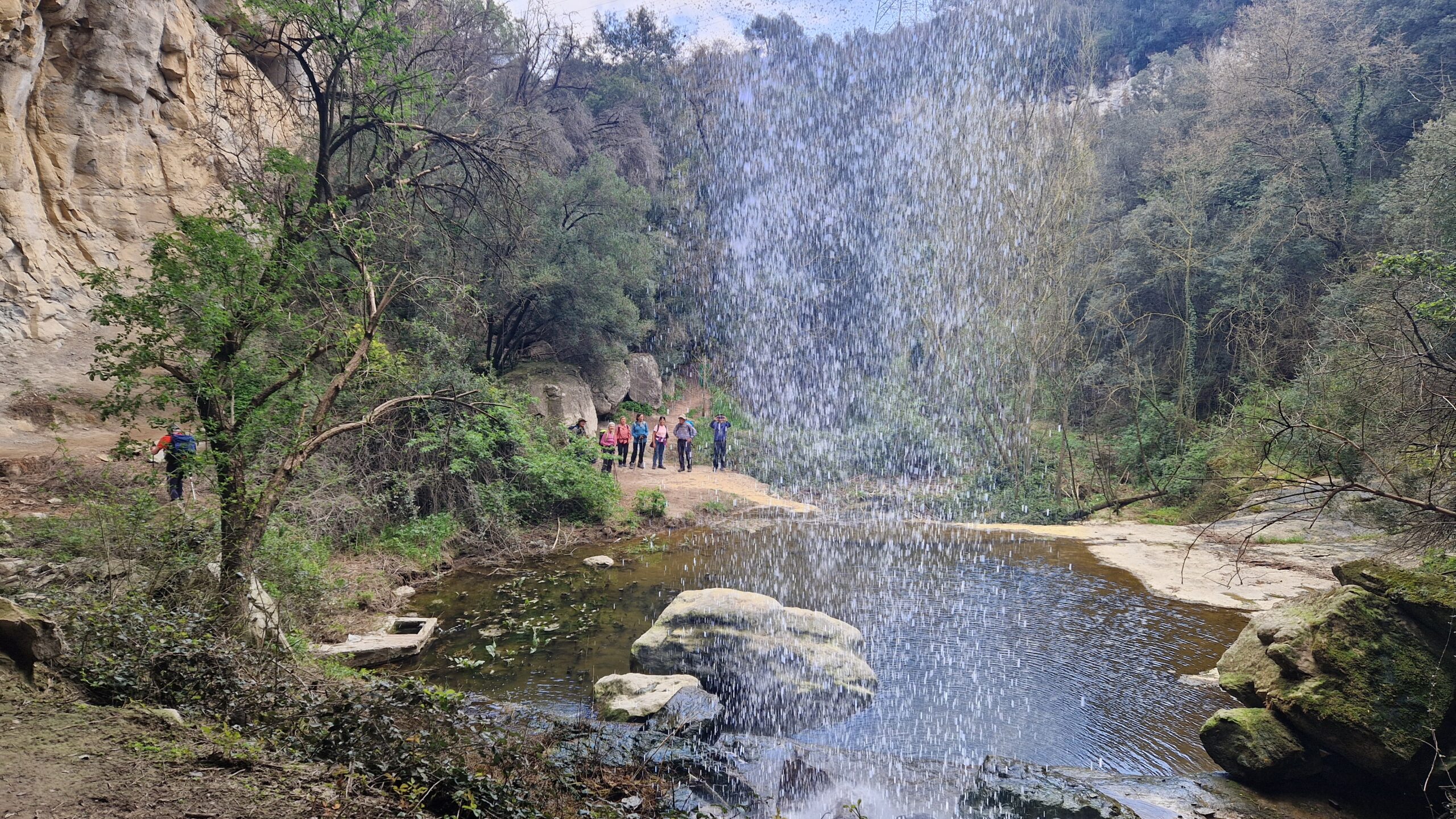 Passejades medi ambientals