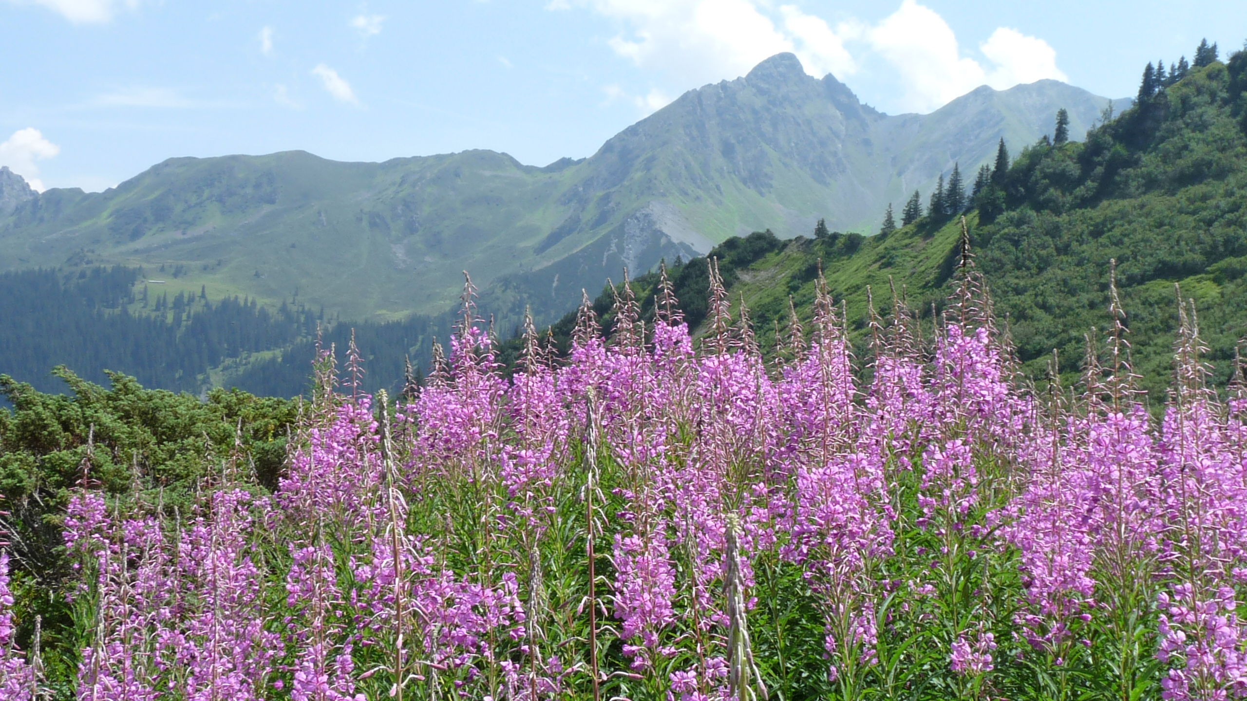 Viatges i Colònies